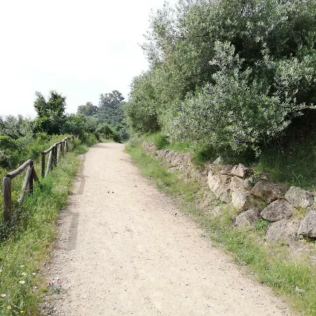 Vakantiehuis Gelvesturist Free Parking *