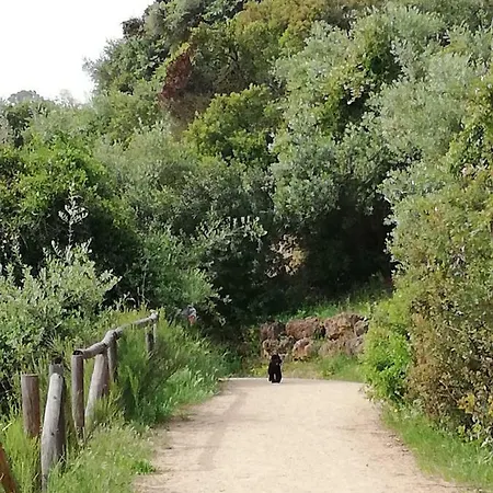 度假居 Gelvesturist Free Parking Gelves